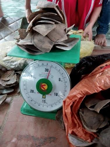 Tuyên[-]chiến[-]với[-]các[-]vi[-]phạm[-]về[-]tê[-]tê